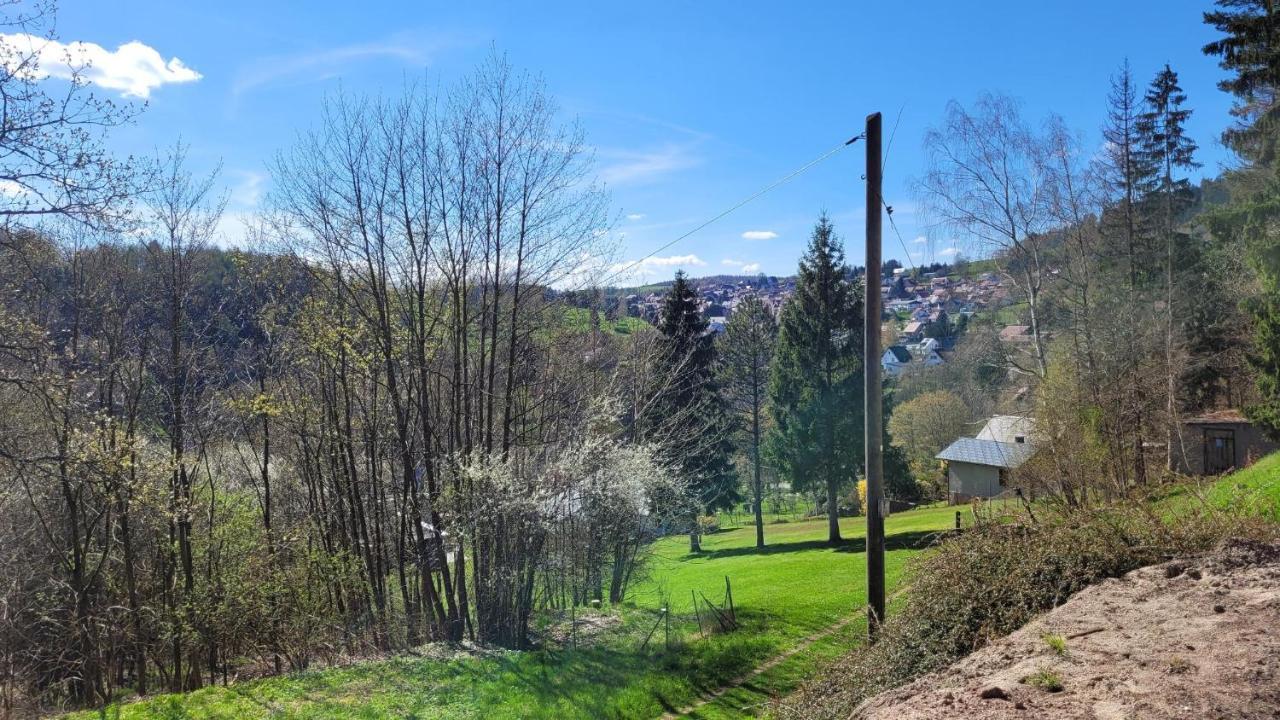 Waldpension Am Koepfchen Kurort Steinbach-Hallenberg Esterno foto