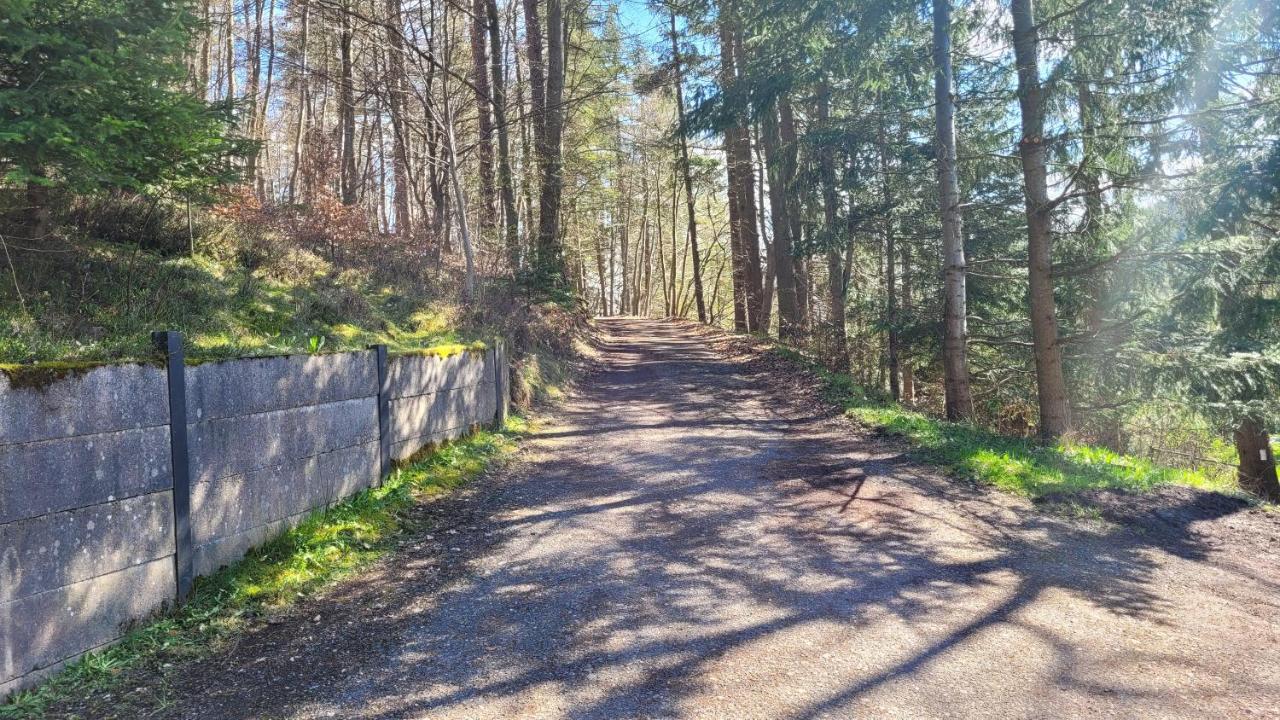 Waldpension Am Koepfchen Kurort Steinbach-Hallenberg Esterno foto