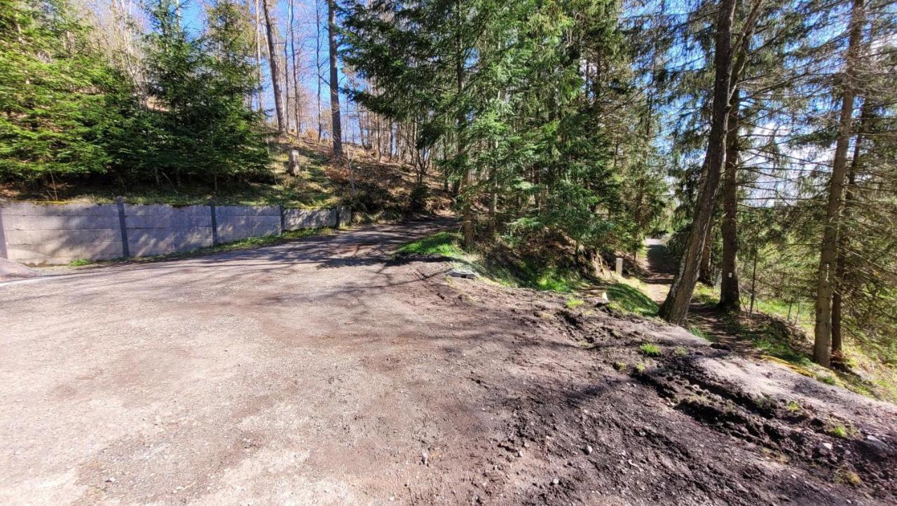 Waldpension Am Koepfchen Kurort Steinbach-Hallenberg Esterno foto
